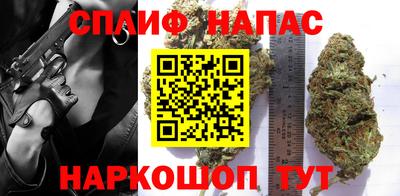 стаф Будённовск