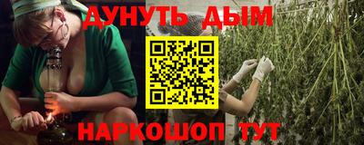 стаф Будённовск
