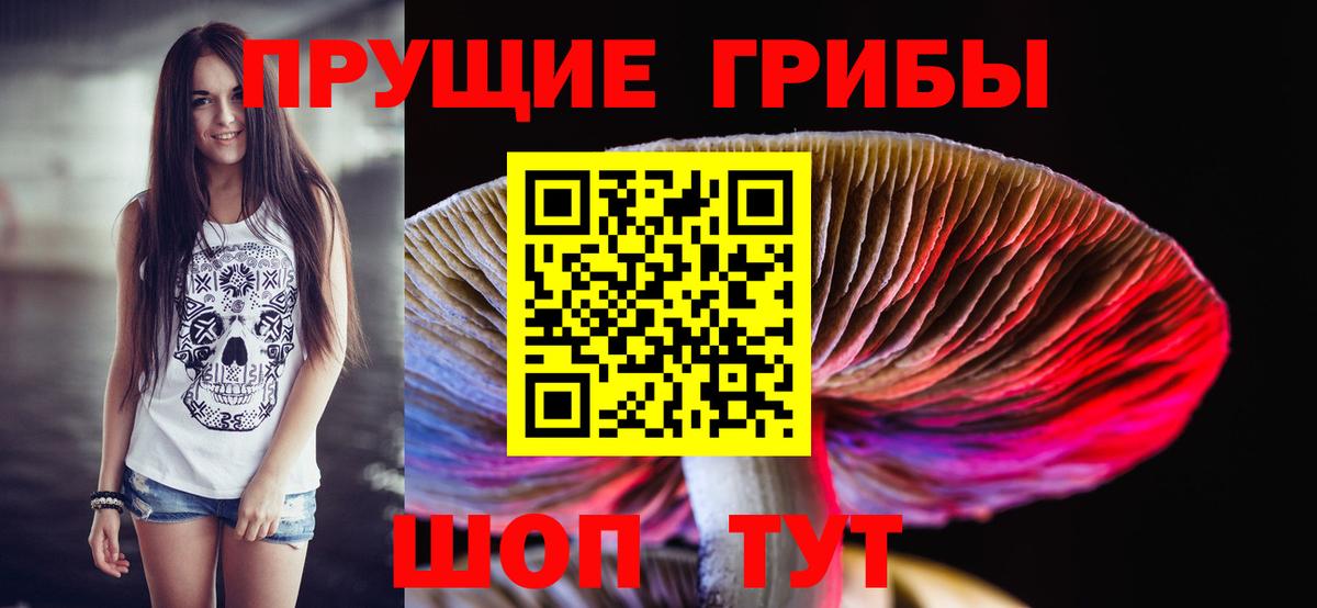 Псилоцибиновые грибы MAGIC MUSHROOMS  Псилоцибиновые грибы прущие грибы  Новосибирск  Вход с VPN 